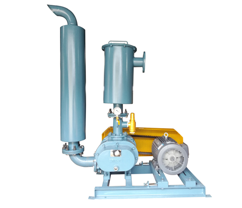 真空羅茨風(fēng)機