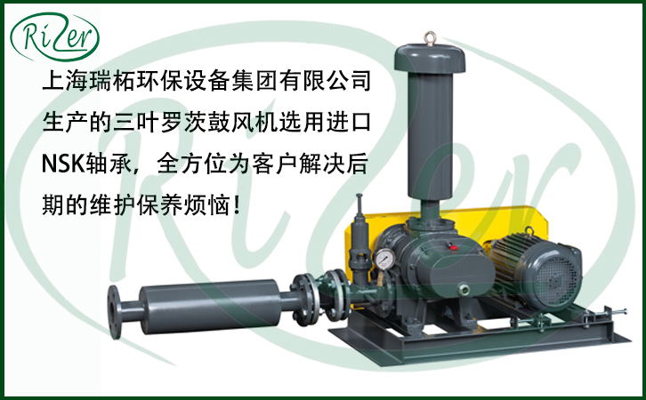 瑞柘羅茨鼓風(fēng)機(jī)