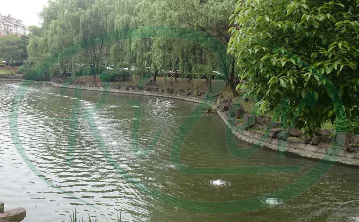 沉水式羅茨鼓風(fēng)機(jī)的缺點(diǎn) 沉水式羅茨鼓風(fēng)機(jī)的缺點(diǎn)