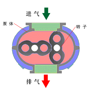 二葉型魯式鼓風(fēng)機原理動畫 二葉型魯式鼓風(fēng)機原理動畫