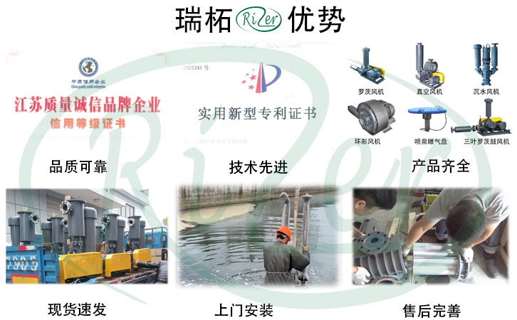 瑞柘羅茨真空泵優(yōu)勢(shì) 瑞柘羅茨真空泵優(yōu)勢(shì)