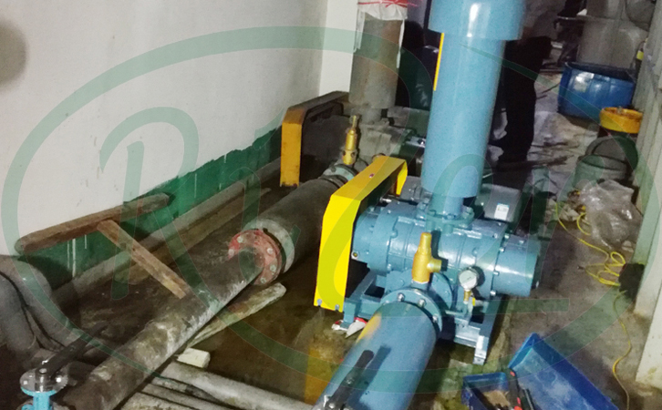 某掛鍍廠采購的我廠的羅茨鼓風(fēng)機(jī)