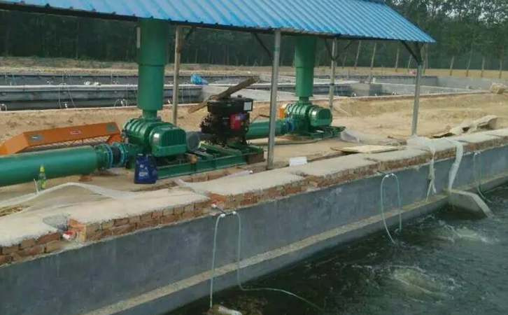 魚塘養(yǎng)殖管理要注意什么