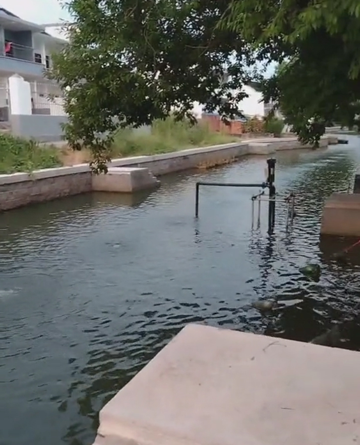 簡(jiǎn)單展示沉水式羅茨鼓風(fēng)機(jī)在河道曝氣增氧中的效果