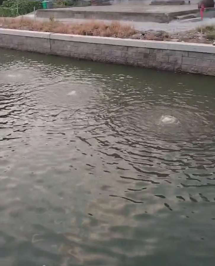 曝氣效果圖 曝氣效果圖